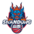 山东高速U19logo